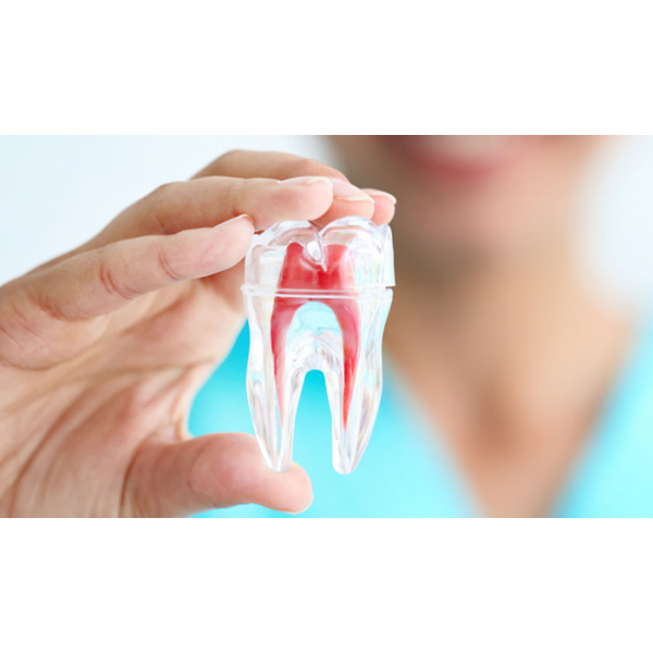 Giữ lại răng thật, loại bỏ cơn đau – Điều trị tủy an toàn, nhanh chóng